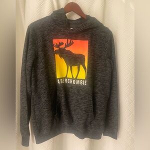 Abercrombie Kids Gray Hoodie